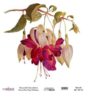 Cadence Evrensel Pirinç Dekopaj Kağıdı - UC-028