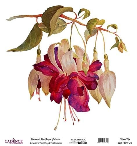 Cadence Evrensel Pirinç Dekopaj Kağıdı - UC-028