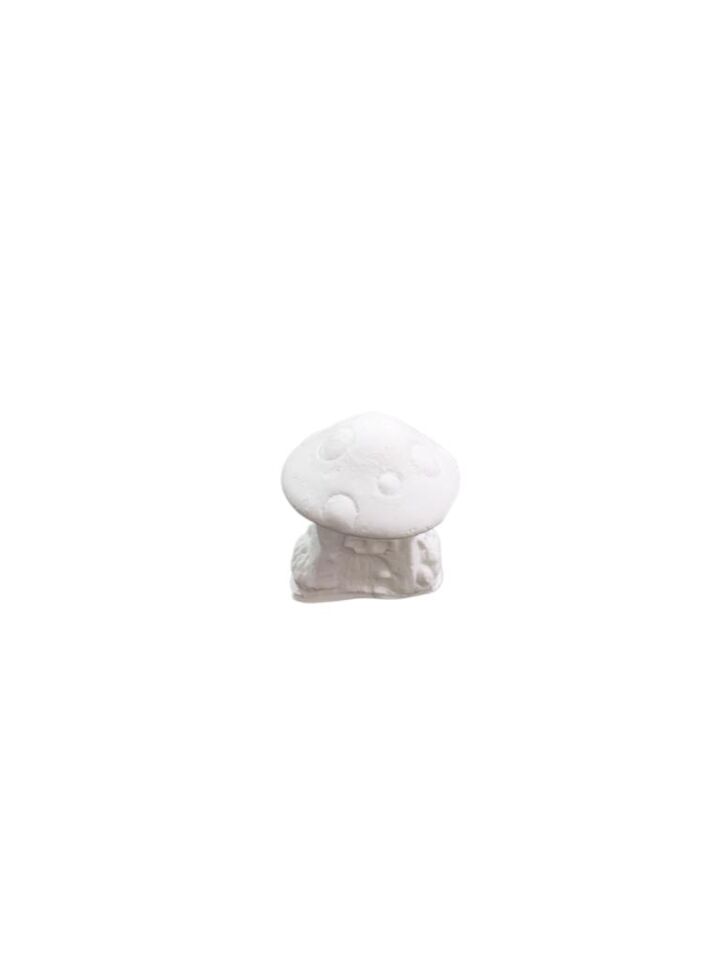 Mantar Ev No:4 3x2,5cm