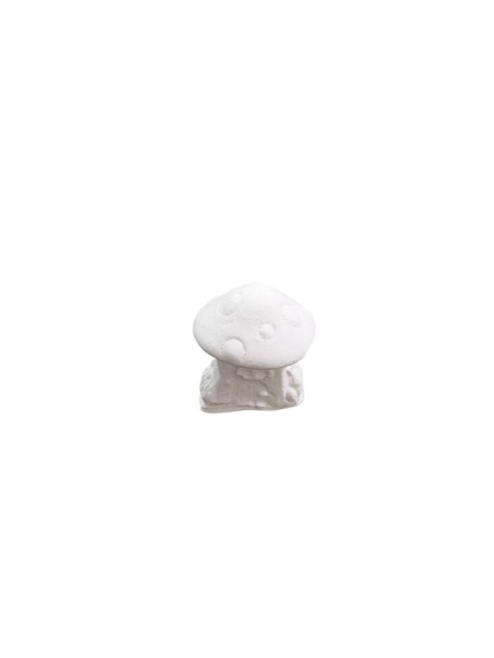 Mantar Ev No:4 3x2,5cm