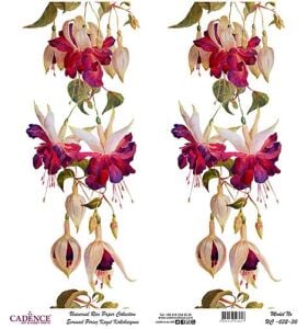 Cadence Evrensel Pirinç Dekopaj Kağıdı - UC-032