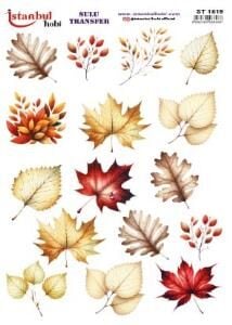 Sulu Transfer Kağıdı 25x35cm ST-1519