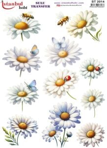 Sulu Transfer Kağıdı 25x35cm ST-2014