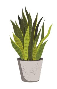 Boyutlu Desen Stencil Şablon (21x30) BY-061