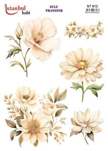 Sulu Transfer Kağıdı 25x35cm ST-612