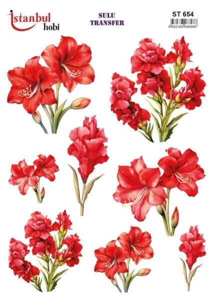 Sulu Transfer Kağıdı 25x35cm ST-654