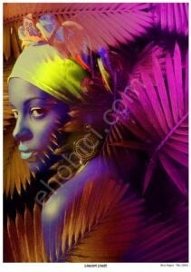 Lineart Pirinç Dekopaj Kağıdı Model - 2554