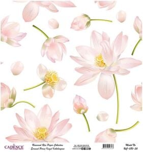 Cadence Evrensel Pirinç Dekopaj Kağıdı - UC-080