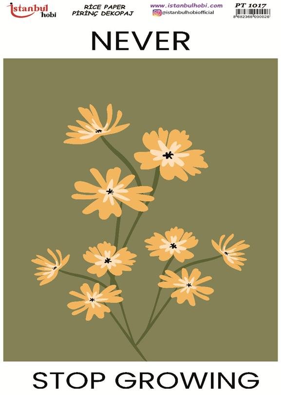 Pirinç Dekopaj Kağıdı 30x42cm PT-1017