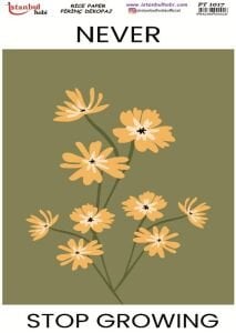 Pirinç Dekopaj Kağıdı 30x42cm PT-1017