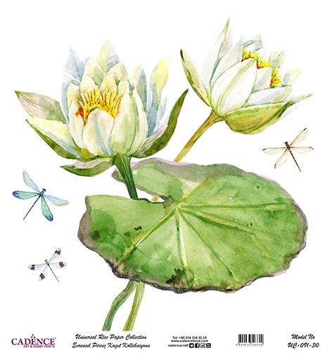 Cadence Evrensel Pirinç Dekopaj Kağıdı - UC-091