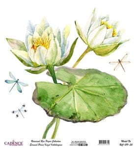 Cadence Evrensel Pirinç Dekopaj Kağıdı - UC-091