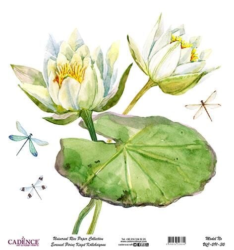 Cadence Evrensel Pirinç Dekopaj Kağıdı - UC-091