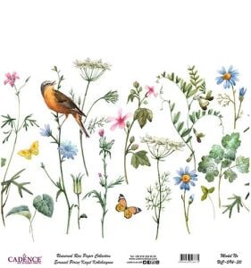 Cadence Evrensel Pirinç Dekopaj Kağıdı - UC-094