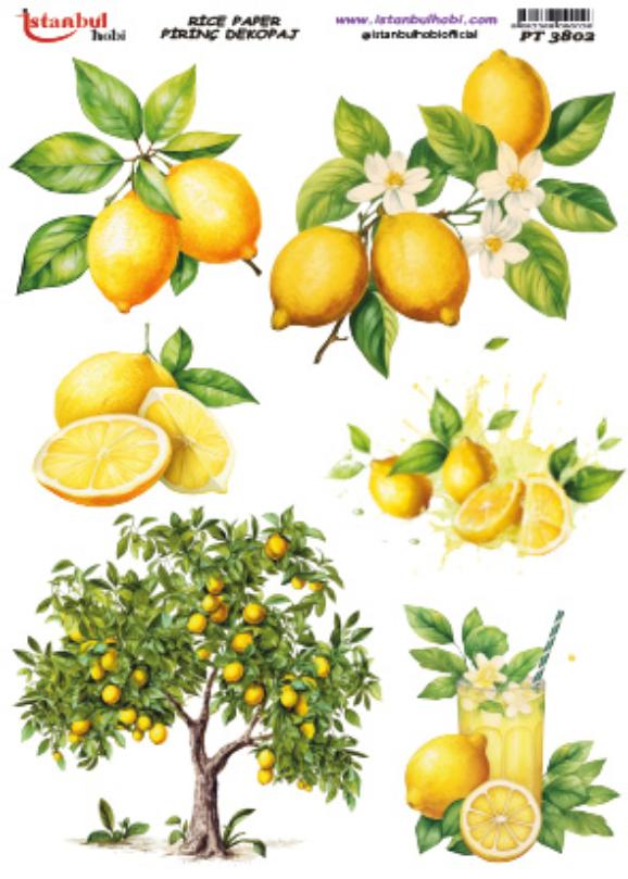 Pirinç Dekopaj Kağıdı 30x42cm PT-3802 Limon