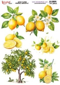 Pirinç Dekopaj Kağıdı 30x42cm PT-3802 Limon