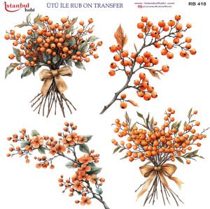 Ütü ile Rub On Transfer Kağıdı 30x30cm RB-418