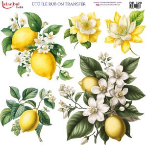 Ütü ile Rub On Transfer Kağıdı 30x30cm RB-329