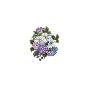 Cadence Gülsün Ülkü Kolay Transfer Kağıdı 17x25cm G163