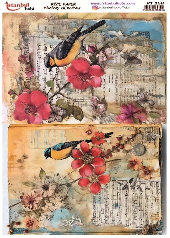 Pirinç Dekopaj Kağıdı 30x42cm PT-268 Kuş Notalar