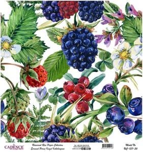 Cadence Evrensel Pirinç Dekopaj Kağıdı - UC-137