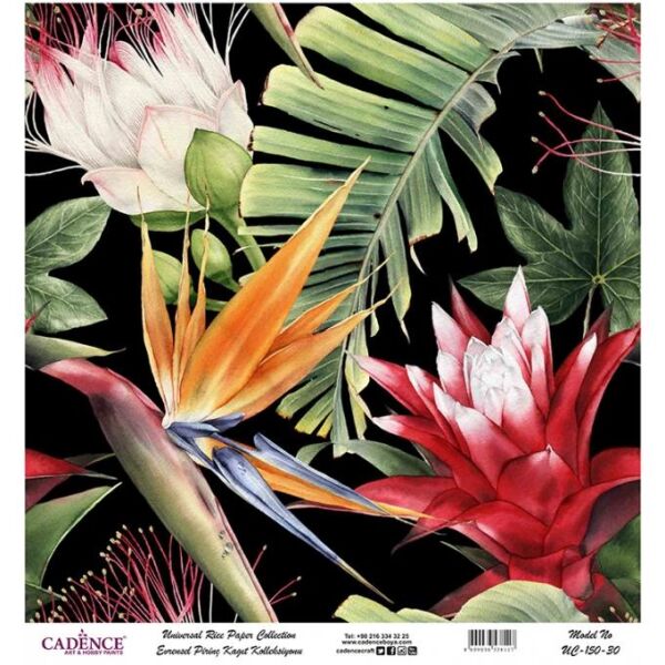 Cadence Evrensel Pirinç Dekopaj Kağıdı - UC-150
