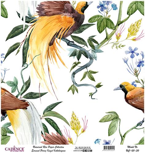 Cadence Evrensel Pirinç Dekopaj Kağıdı - UC-151