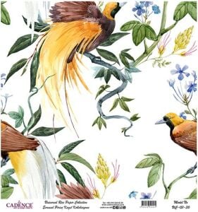 Cadence Evrensel Pirinç Dekopaj Kağıdı - UC-151