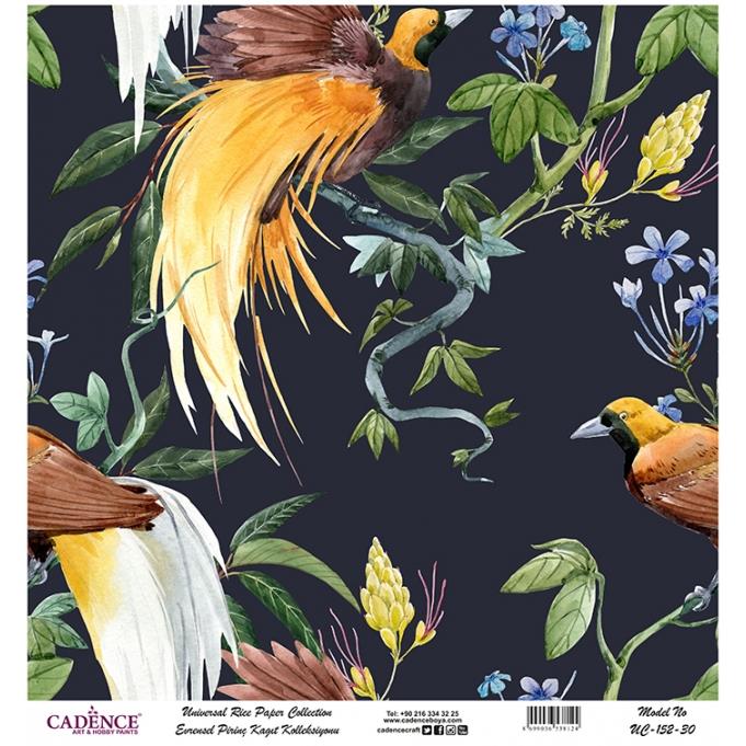 Cadence Evrensel Pirinç Dekopaj Kağıdı - UC-152