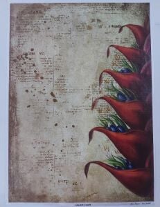 Lineart Pirinç Dekopaj Kağıdı - 3456