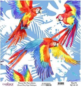 Cadence Evrensel Pirinç Dekopaj Kağıdı - UC-156