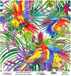 Cadence Evrensel Pirinç Dekopaj Kağıdı - UC-158