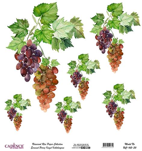 Cadence Evrensel Pirinç Dekopaj Kağıdı - UC-162