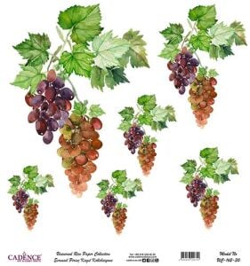 Cadence Evrensel Pirinç Dekopaj Kağıdı - UC-162