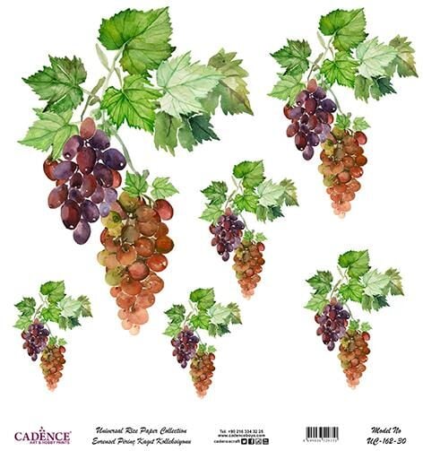 Cadence Evrensel Pirinç Dekopaj Kağıdı - UC-162