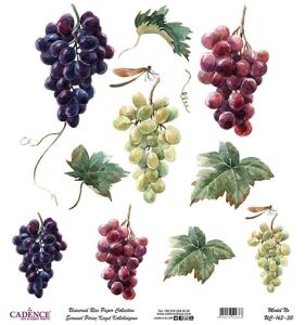 Cadence Evrensel Pirinç Dekopaj Kağıdı - UC-163