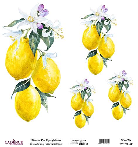 Cadence Evrensel Pirinç Dekopaj Kağıdı - UC-165