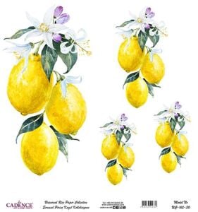 Cadence Evrensel Pirinç Dekopaj Kağıdı - UC-165