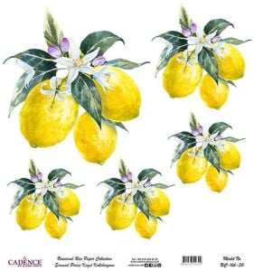 Cadence Evrensel Pirinç Dekopaj Kağıdı - UC-166