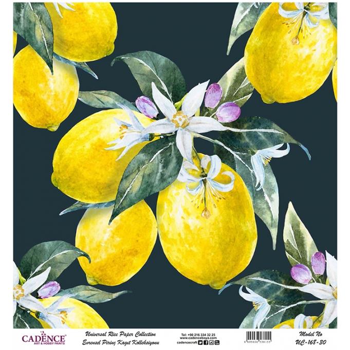 Cadence Evrensel Pirinç Dekopaj Kağıdı - UC-168