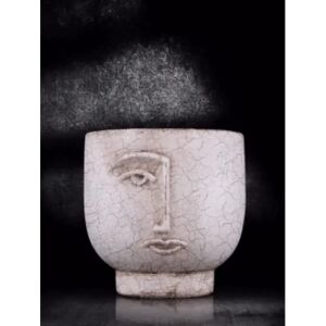 Cadence Boya Çatlatma 70ml