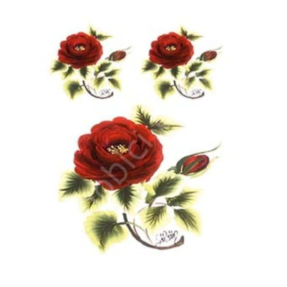 Cadence Gülsün Ülkü Kolay Transfer Kağıdı 17x25cm G07