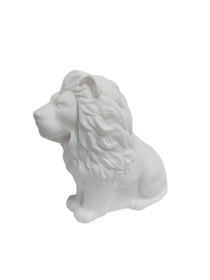 Aslan Kral 9,4x9,3cm