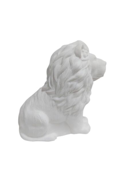 Aslan Kral 9,4x9,3cm