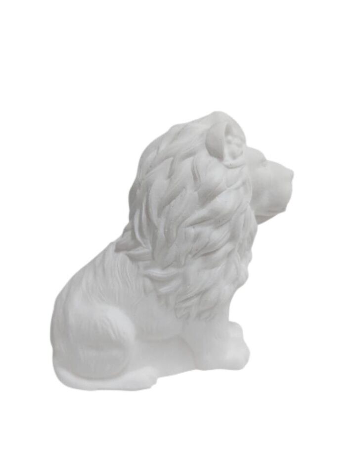 Aslan Kral 9,4x9,3cm
