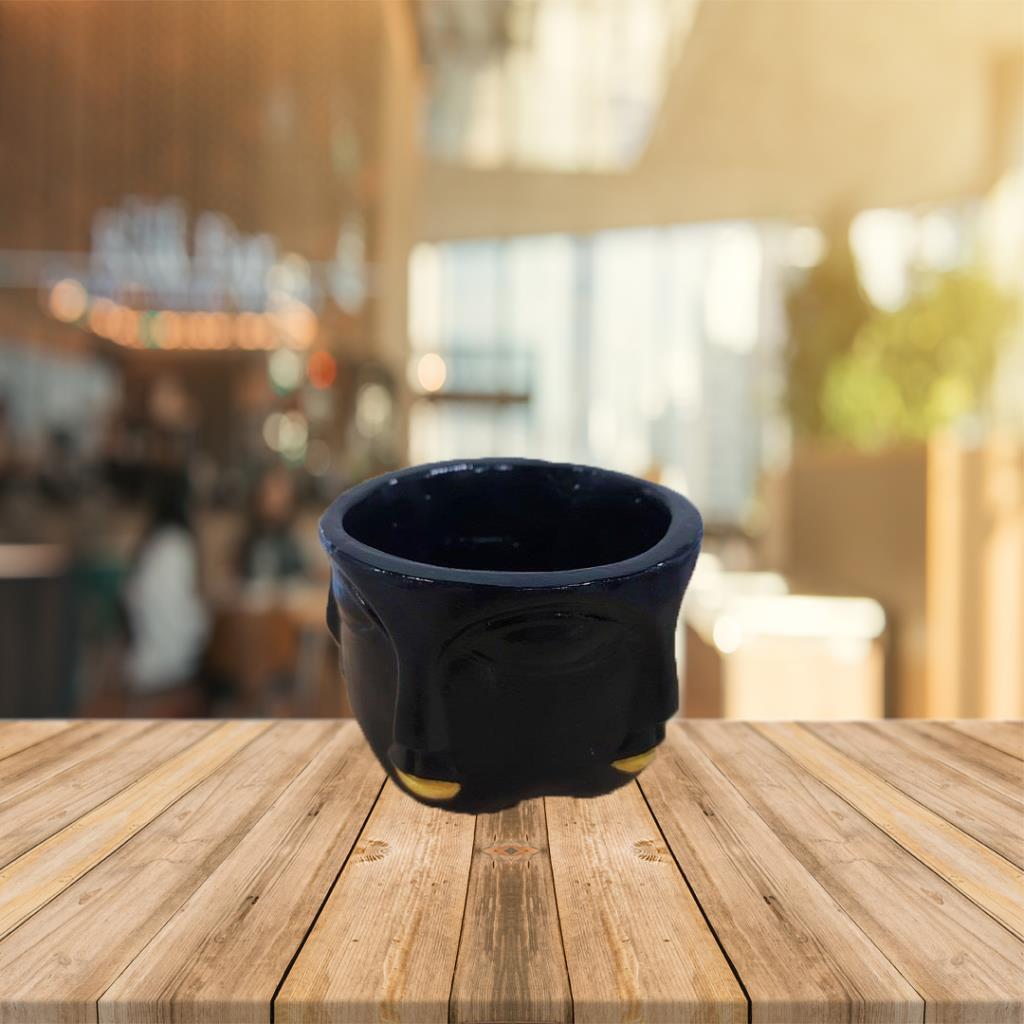 Çok Yüzlü Skulent Saksı Siyah