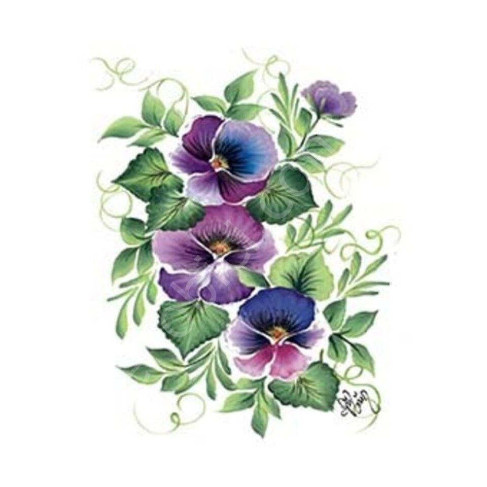 Cadence Gülsün Ülkü Kolay Transfer Kağıdı 17x25cm G16