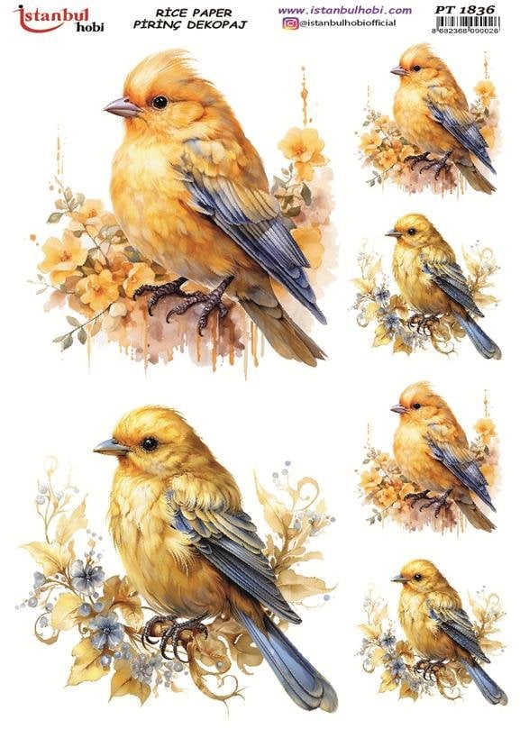 Pirinç Dekopaj Kağıdı 30x42cm PT-1836