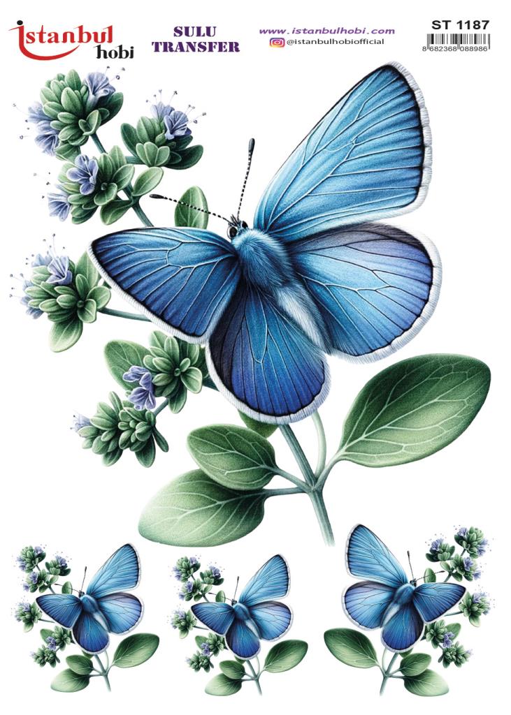 Sulu Transfer Kağıdı 25x35cm ST-1187