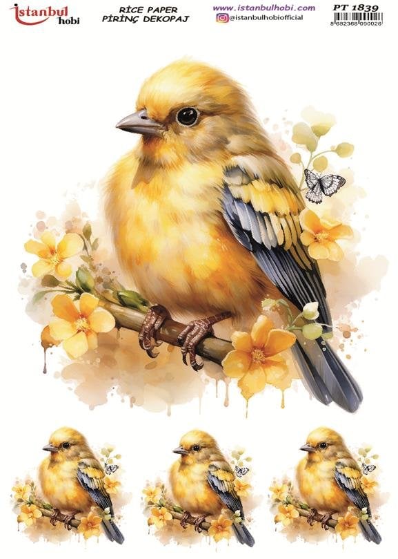 Pirinç Dekopaj Kağıdı 30x42cm PT-1839